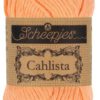 Apricot 524 Cahlista